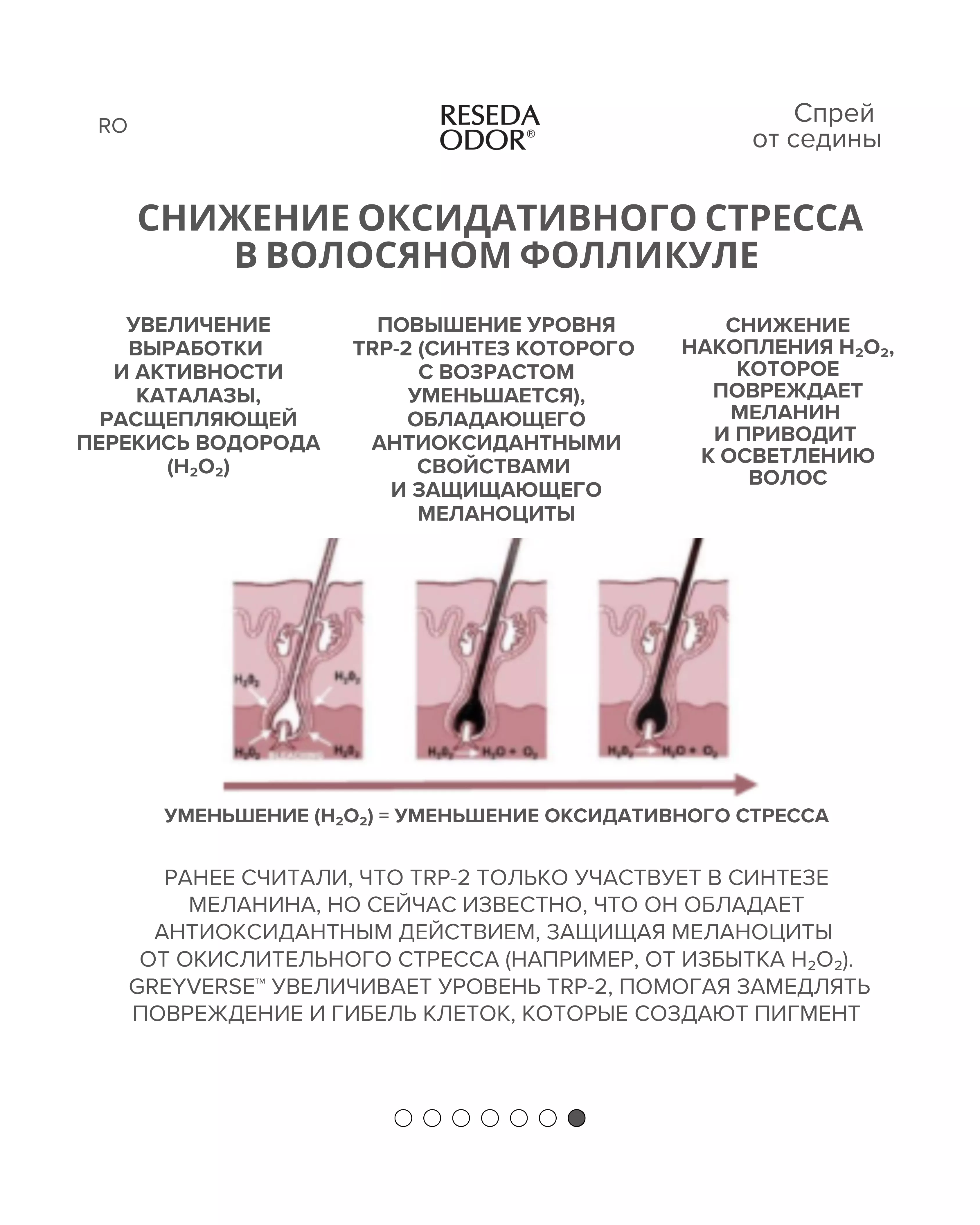 Спрей от седины. Anti-Grey Hair ResedaOdor - resedaodor.com
