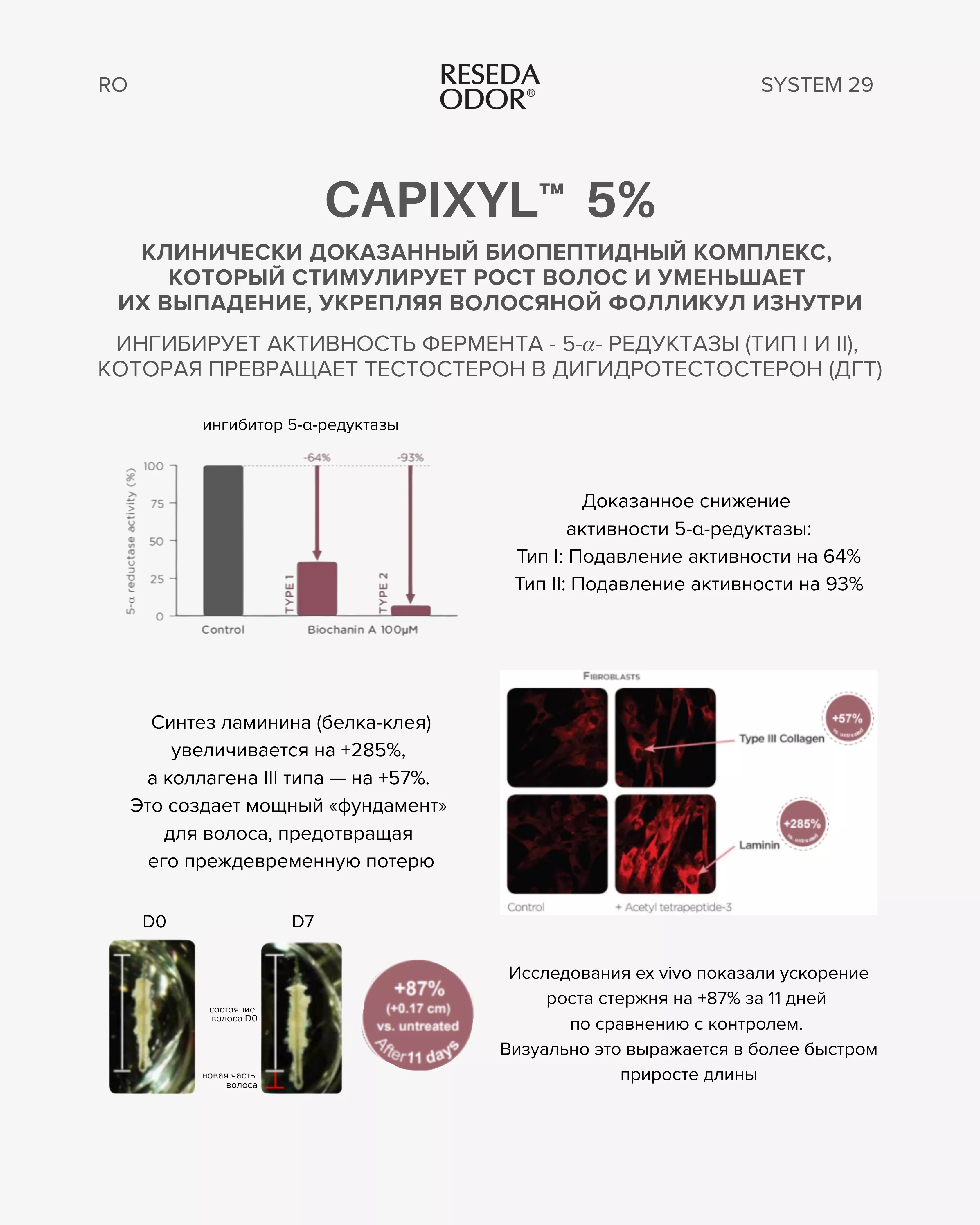 Сыворотка для стимуляции роста и укрепления волос Peptide Hair Growth System 29 - resedaodor.com