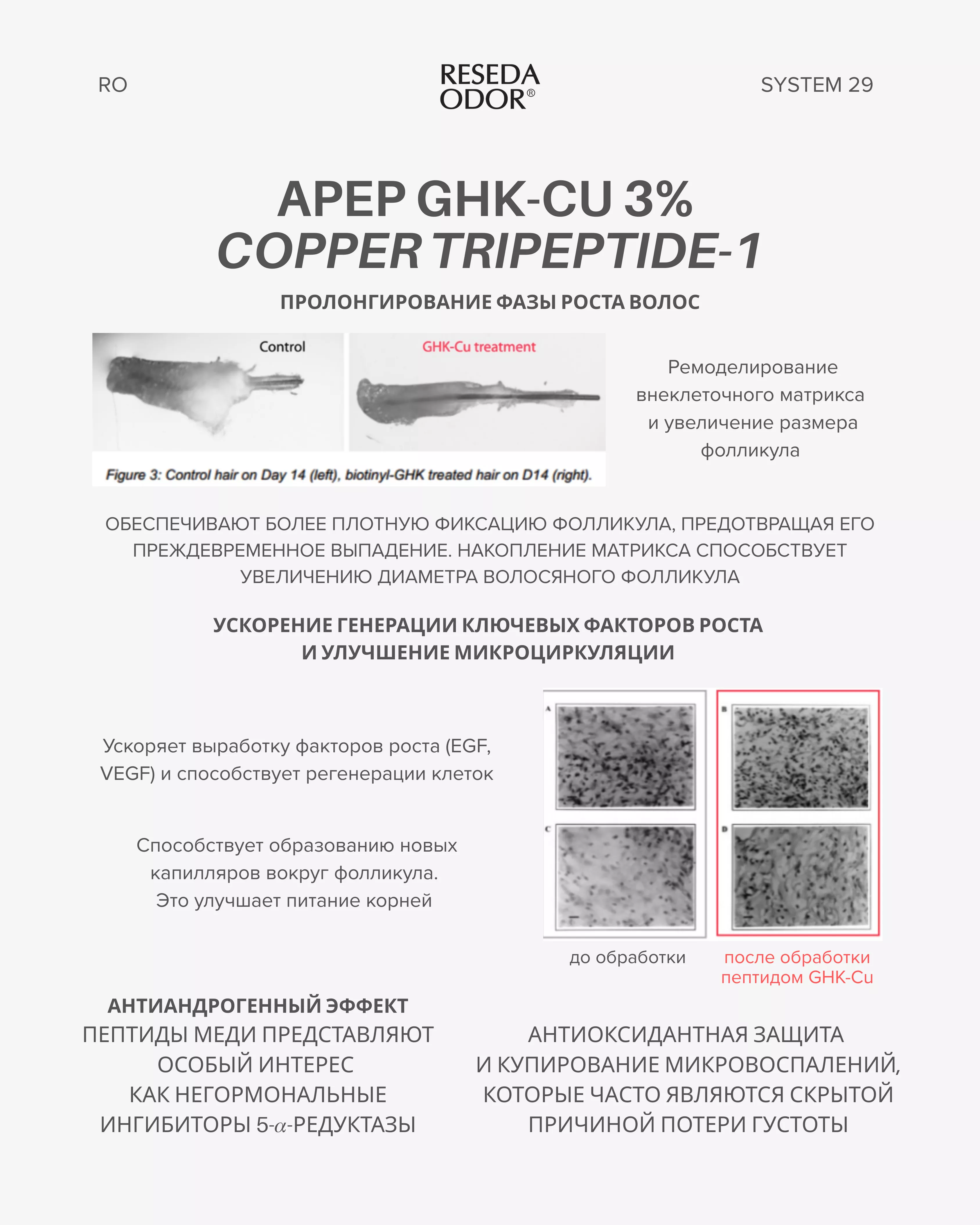Сыворотка для стимуляции роста и укрепления волос Peptide Hair Growth System 29 - resedaodor.com