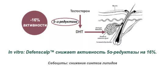 Снимок экрана 2026-08-19 в 20.23.34.png Снимок экрана 2026-08-19 в 20.23.34.png