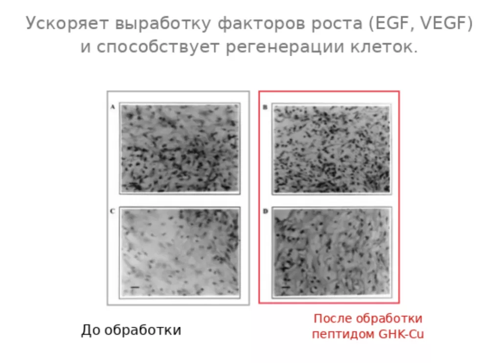 Снимок экрана 2026-02-26 в 21.57.05.png Снимок экрана 2026-02-26 в 21.57.05.png