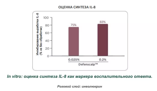 Снимок экрана 2026-08-19 в 20.25.19.png Снимок экрана 2026-08-19 в 20.25.19.png