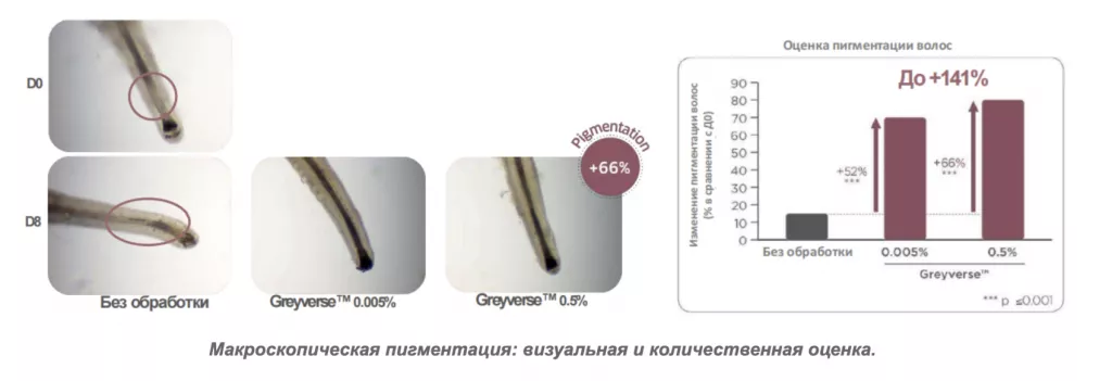 Снимок экрана 2026-07-31 в 19.44.33.png