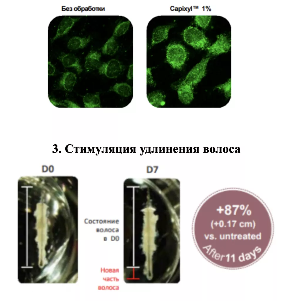 Снимок экрана 2026-02-26 в 21.18.52.png Снимок экрана 2026-02-26 в 21.18.52.png