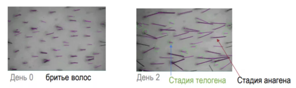 Снимок экрана 2026-02-26 в 21.32.56.png Снимок экрана 2026-02-26 в 21.32.56.png