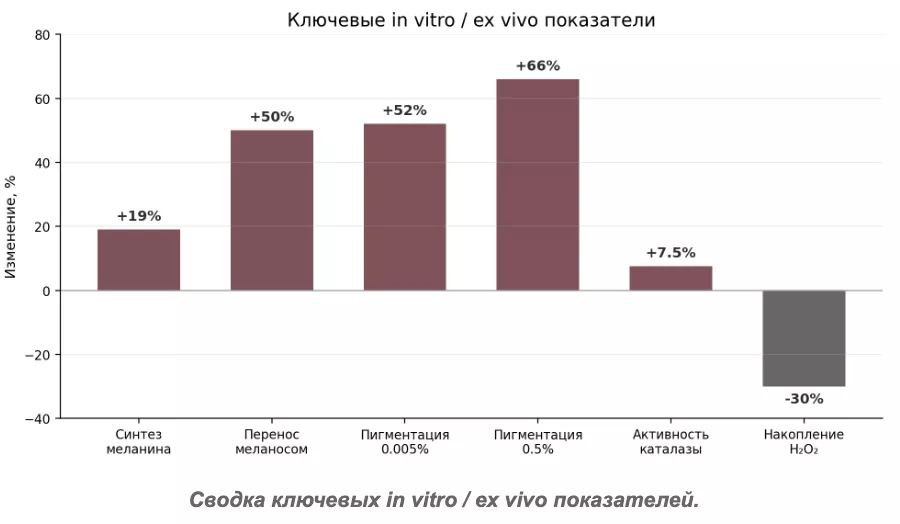 Снимок экрана 2026-07-31 в 19.39.00.png