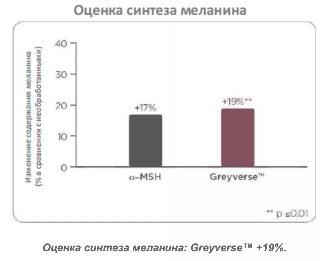 Снимок экрана 2026-07-31 в 19.40.07.png