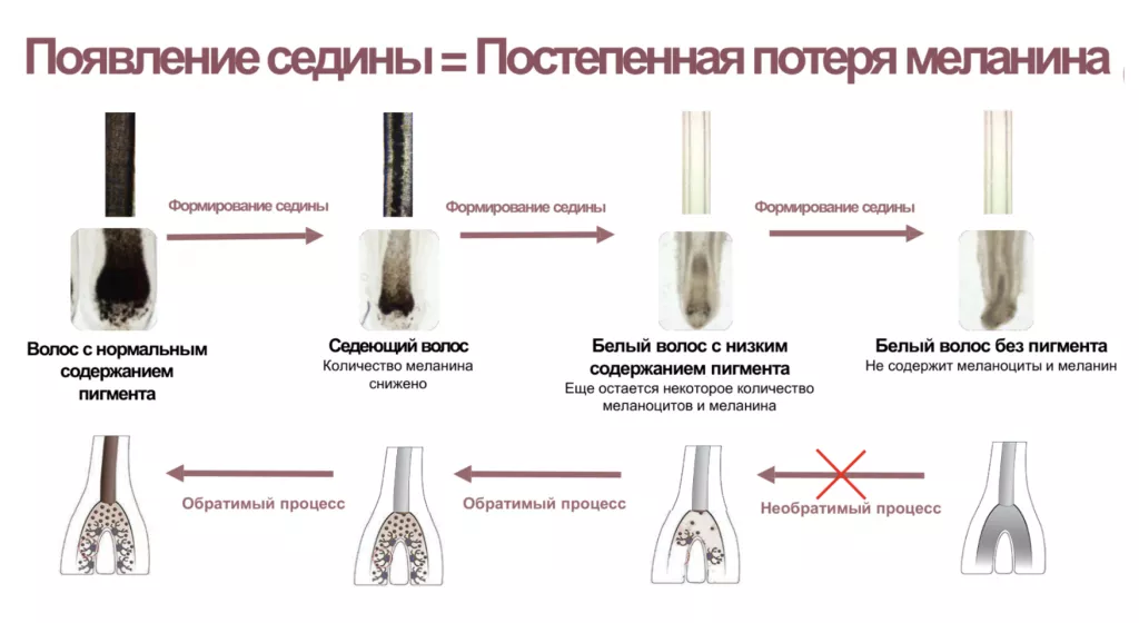 Снимок экрана 2026-07-31 в 19.08.08.png