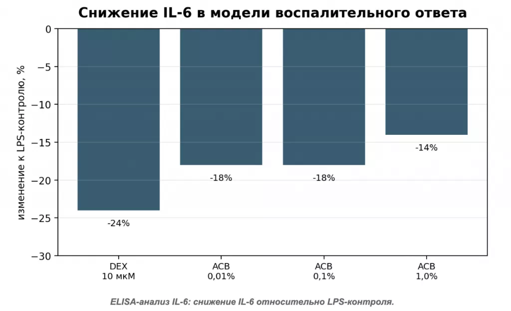 Снимок экрана 2026-07-31 в 20.30.33.png