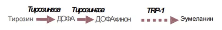 Снимок экрана 2026-07-31 в 19.41.18.png