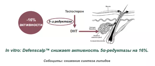 Снимок экрана 2026-08-18 в 16.59.52.png Снимок экрана 2026-08-18 в 16.59.52.png