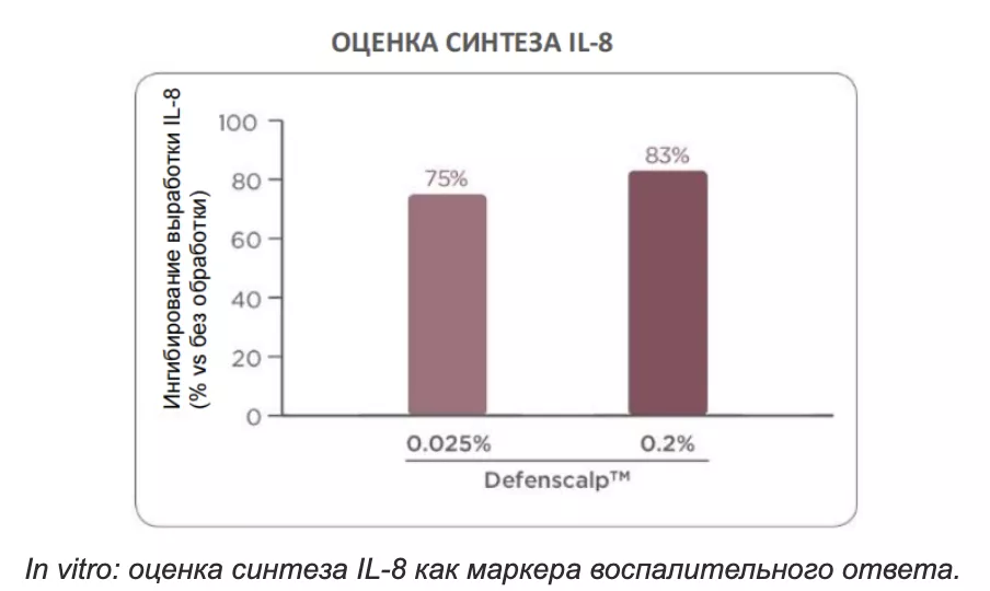 Снимок экрана 2026-07-31 в 20.24.30.png