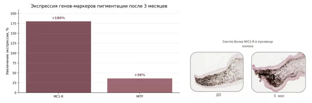 Снимок экрана 2026-07-31 в 19.32.12.png