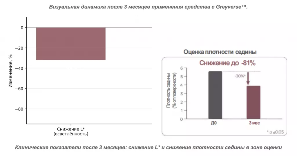Снимок экрана 2026-07-31 в 19.29.08.png