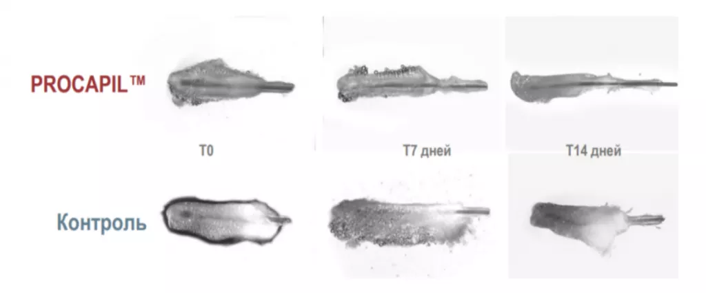 Снимок экрана 2026-02-26 в 21.24.57.png Снимок экрана 2026-02-26 в 21.24.57.png