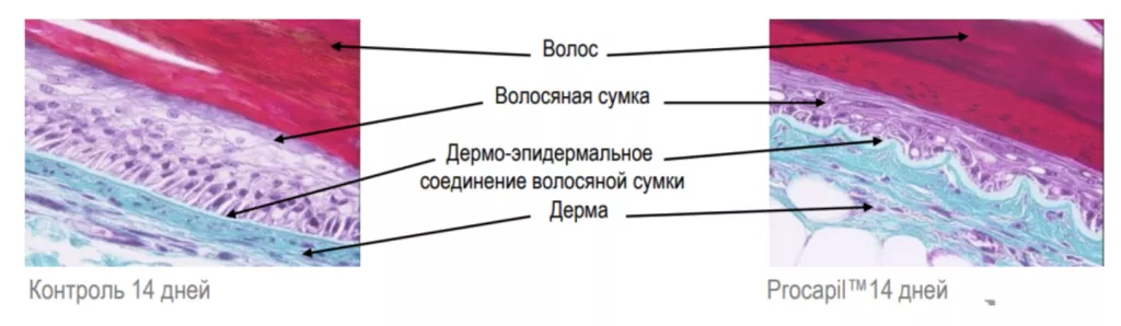 Снимок экрана 2026-02-26 в 21.30.14.png Снимок экрана 2026-02-26 в 21.30.14.png