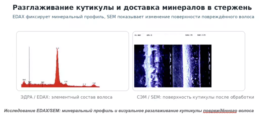 Снимок экрана 2026-07-31 в 20.28.06.png