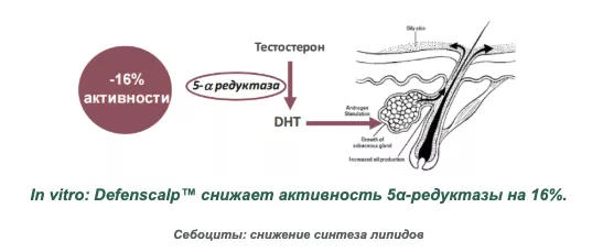 Снимок экрана 2026-08-19 в 20.56.01.png Снимок экрана 2026-08-19 в 20.56.01.png